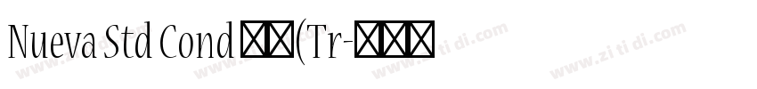 Nueva Std Cond 粗体(Tr字体转换